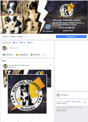 Design Facebook par Kristina Andonoff pour ce projet | Design : #19784547