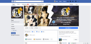 Design Facebook par Kristina Andonoff pour ce projet | Design : #19784653