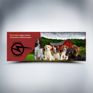 Design Facebook par cahkuli pour ce projet | Design : #19764836