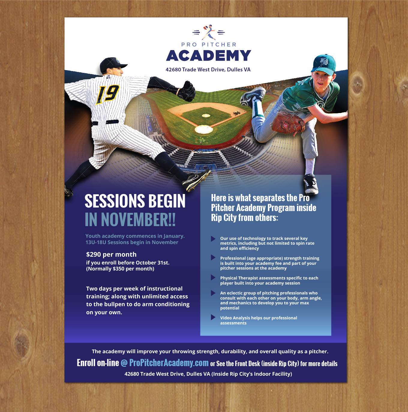 flyer design for rip city baseball softball by mnm design 19796716 softball flyer design