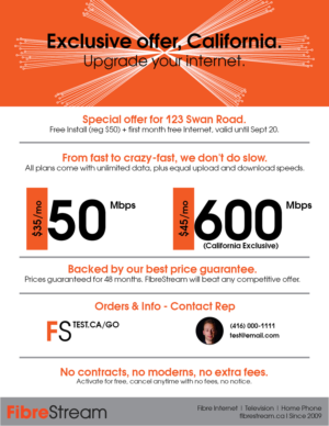 Flyer Design by Sheingart