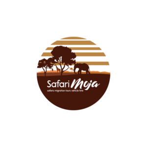 Logo Design by pedro nuno