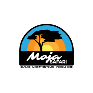 Logo Design by Just Jono Designs