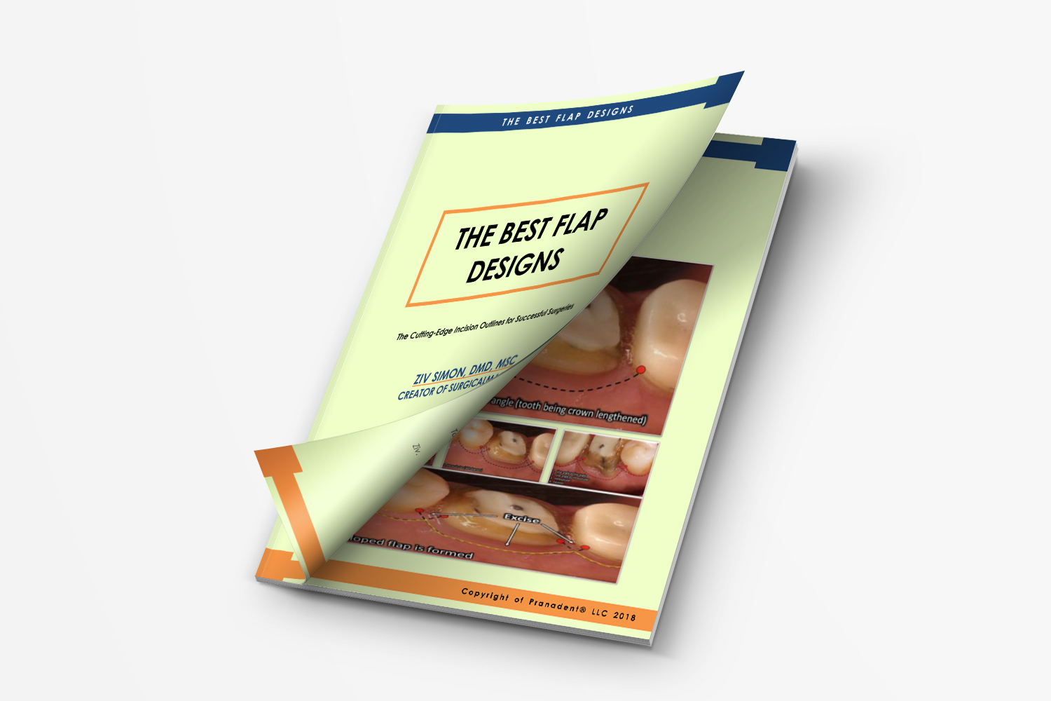 Graphic Design by Gulsher for Ziv Simon | Design #19777286