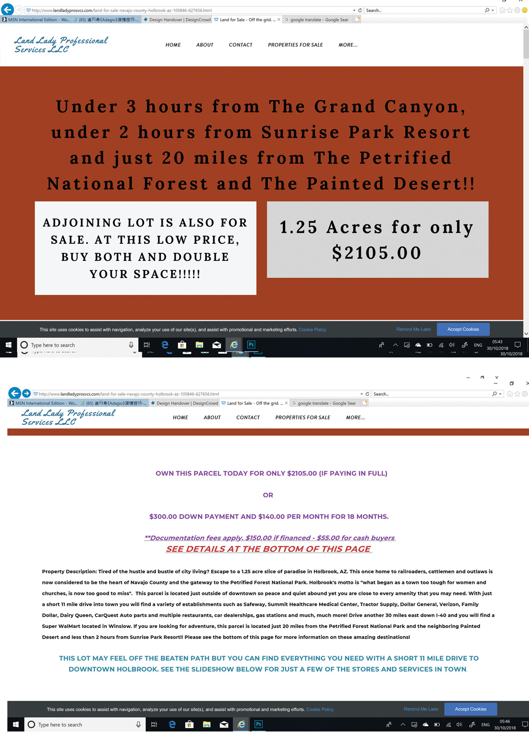 Diseño Web por diana popescu para este proyecto | Diseño #20141342