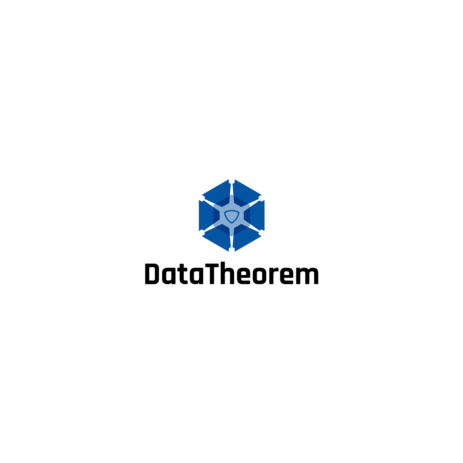 Logo Design by Altaf Mahmud for Data Theorem | Design #19814651