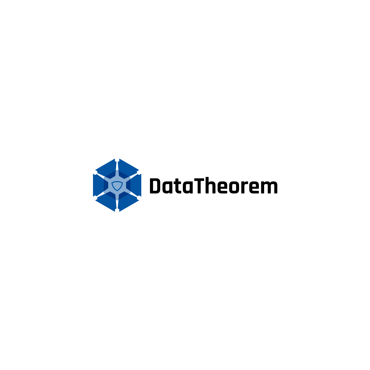 Logo Design by Altaf Mahmud for Data Theorem | Design #19814672
