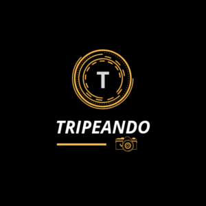 Logo Design by Gravity
