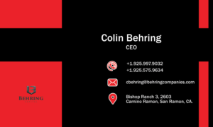 Business Card Design by diana popescu