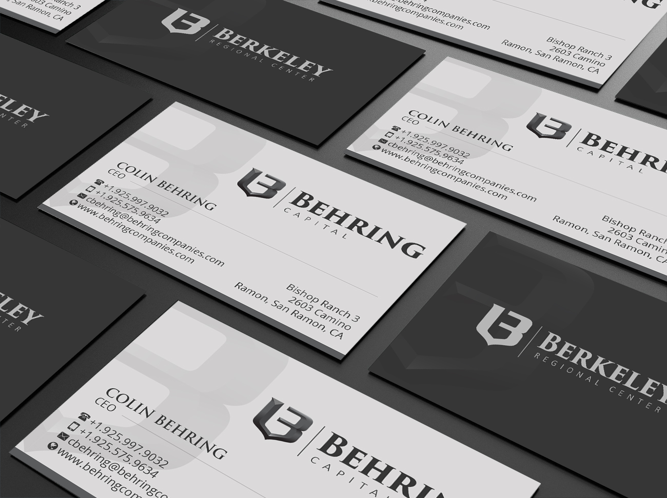 Business Card Design by Creations Box 2015 for Behring Co. | Design #19794500