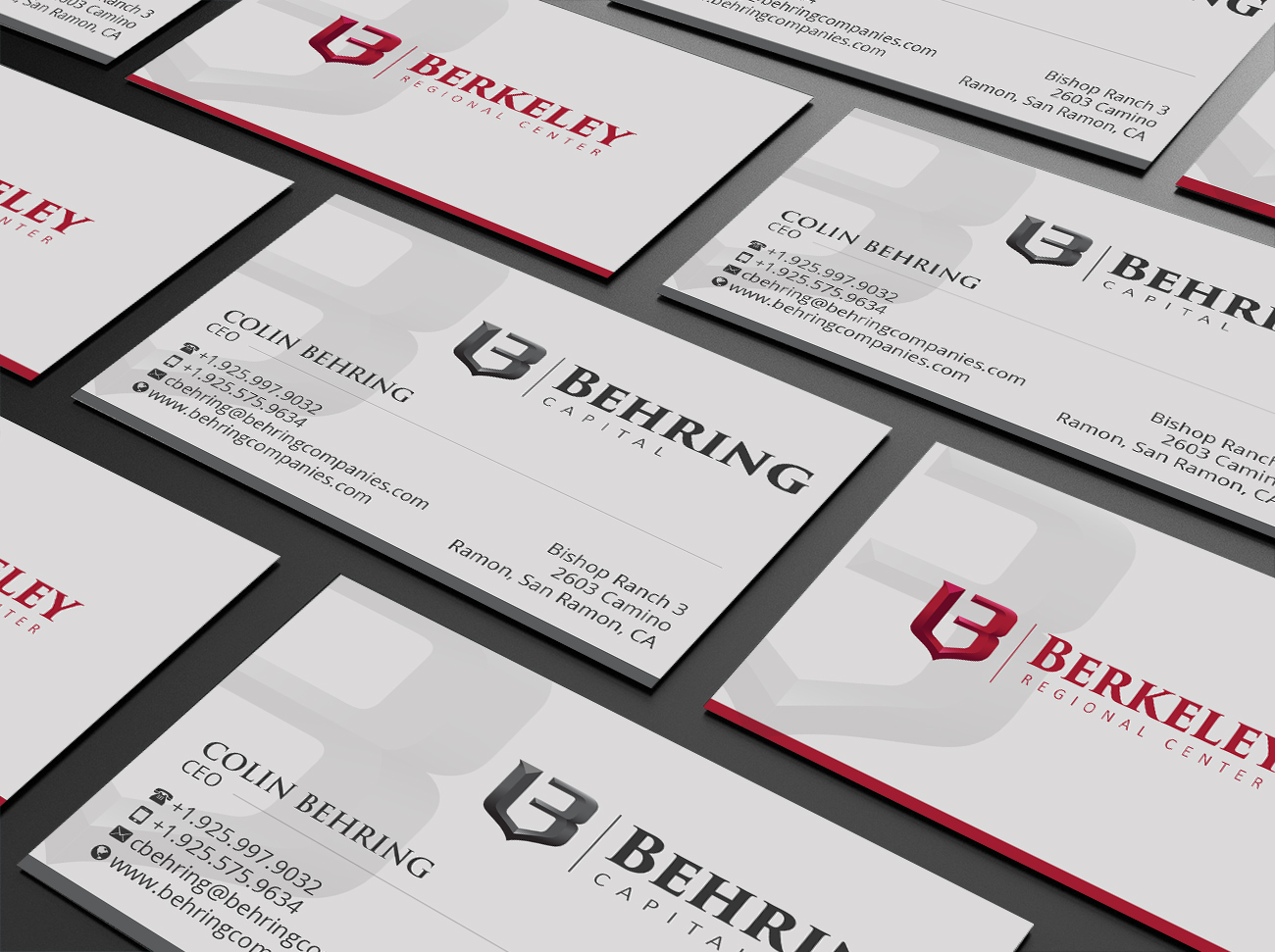 Business Card Design by Creations Box 2015 for Behring Co. | Design #19794501