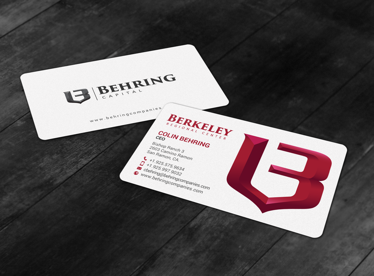 Business Card Design by chandrayaan.creative for Behring Co. | Design #19793078