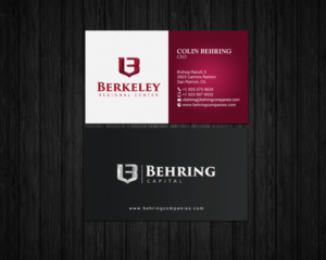 Business Card Design by chandrayaan.creative for Behring Co. | Design: #19794298