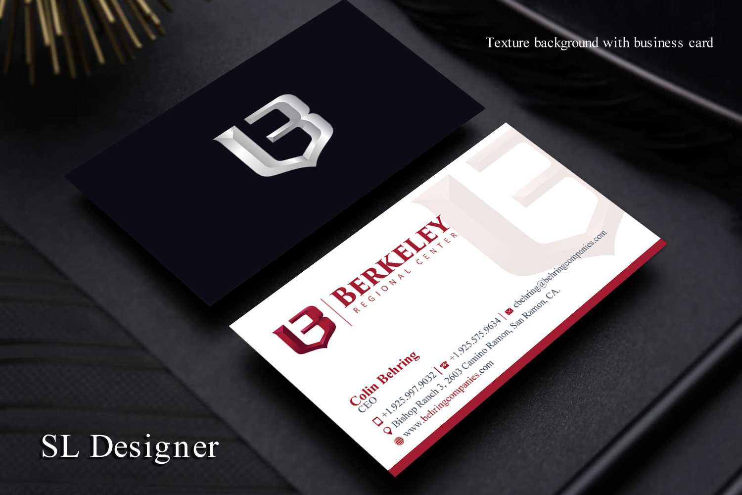 Business Card Design by SL Designer for Behring Co. | Design #19792388