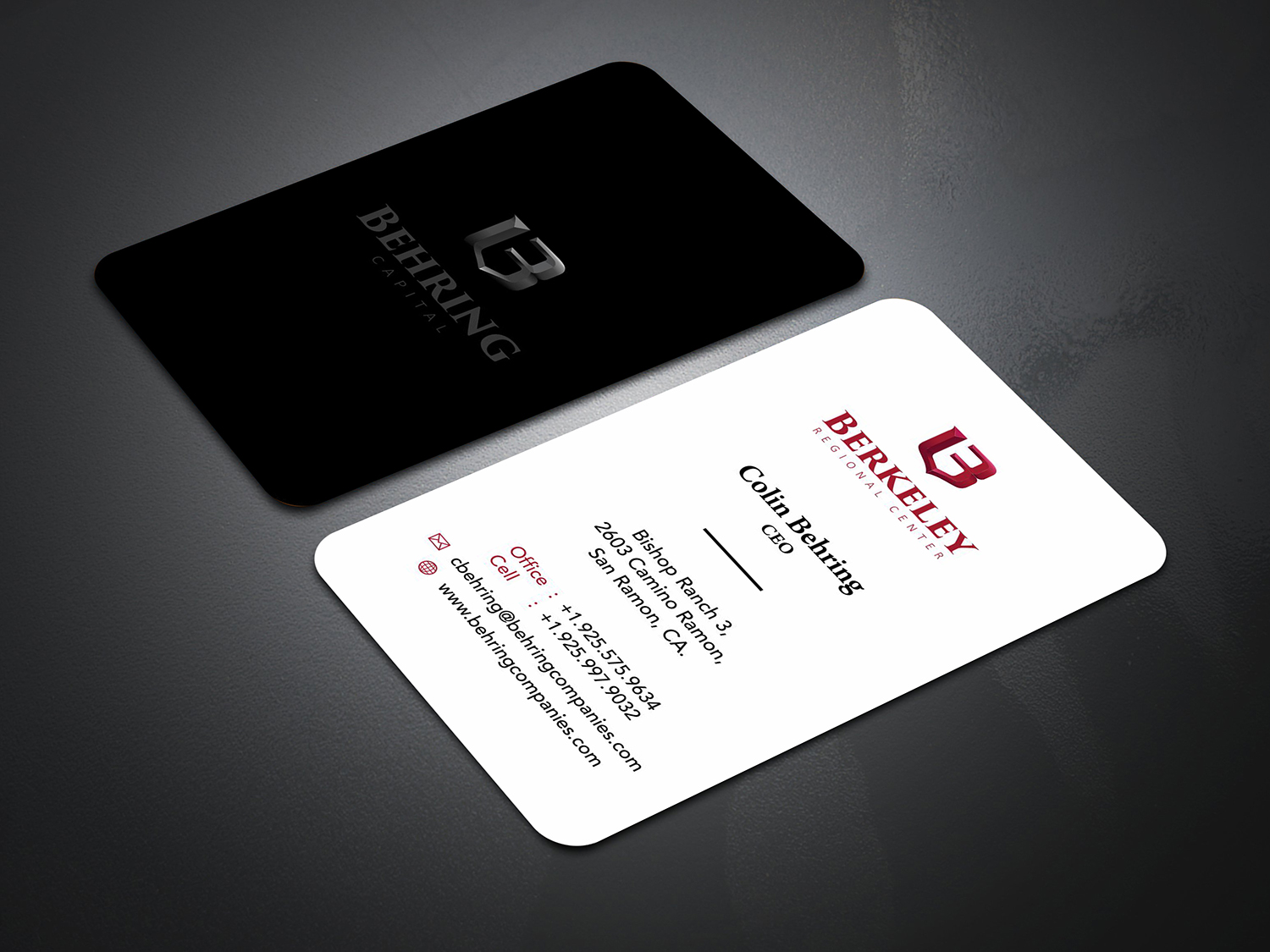 Business Card Design by dianpraditaputri for Behring Co. | Design #19798589