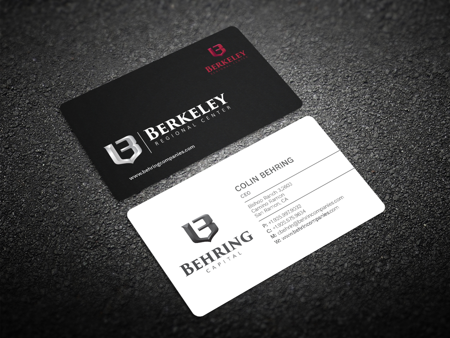 Business Card Design by Graphic Flame for Behring Co. | Design #19788969