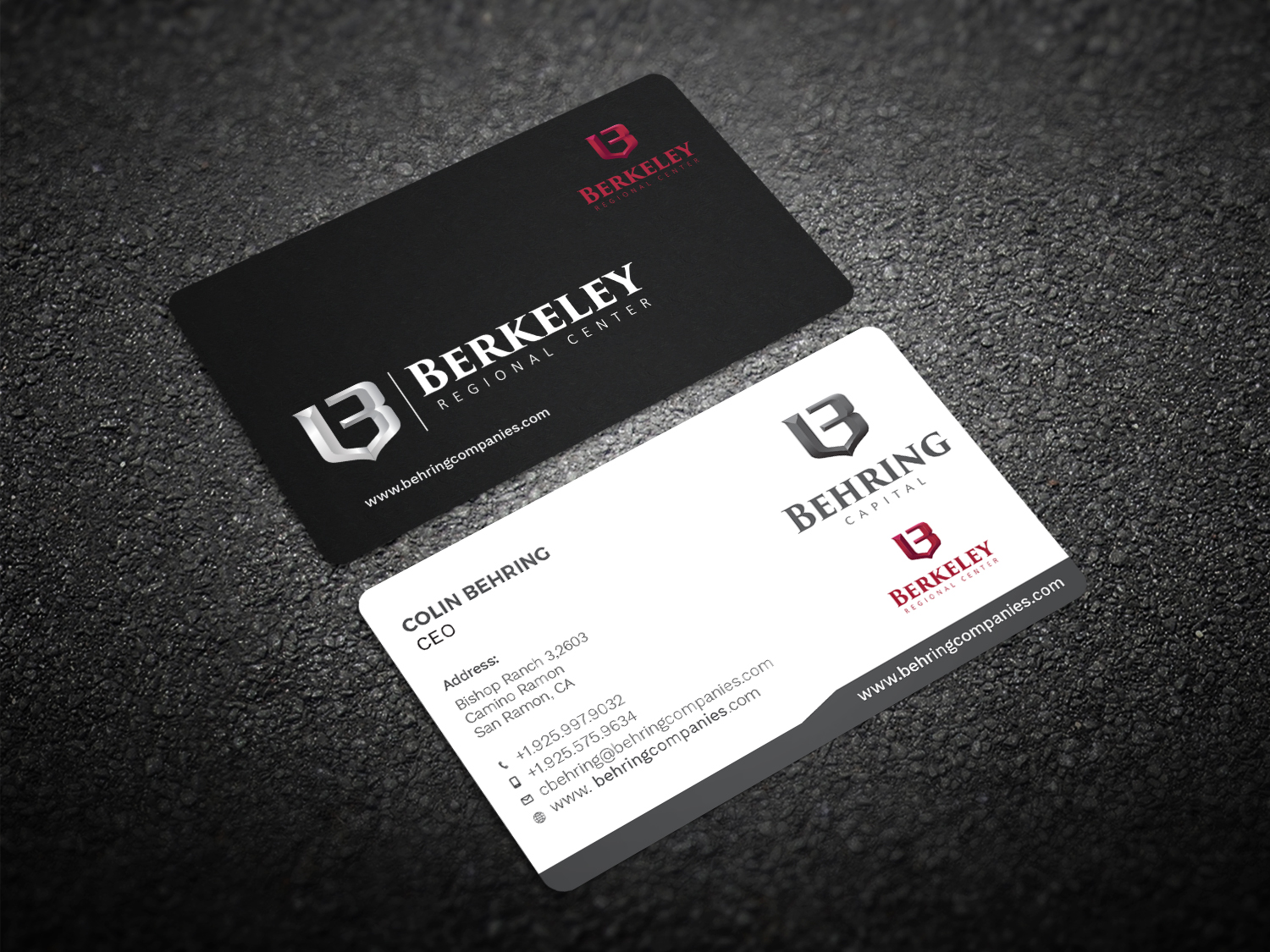 Business Card Design by Graphic Flame for Behring Co. | Design #19788970