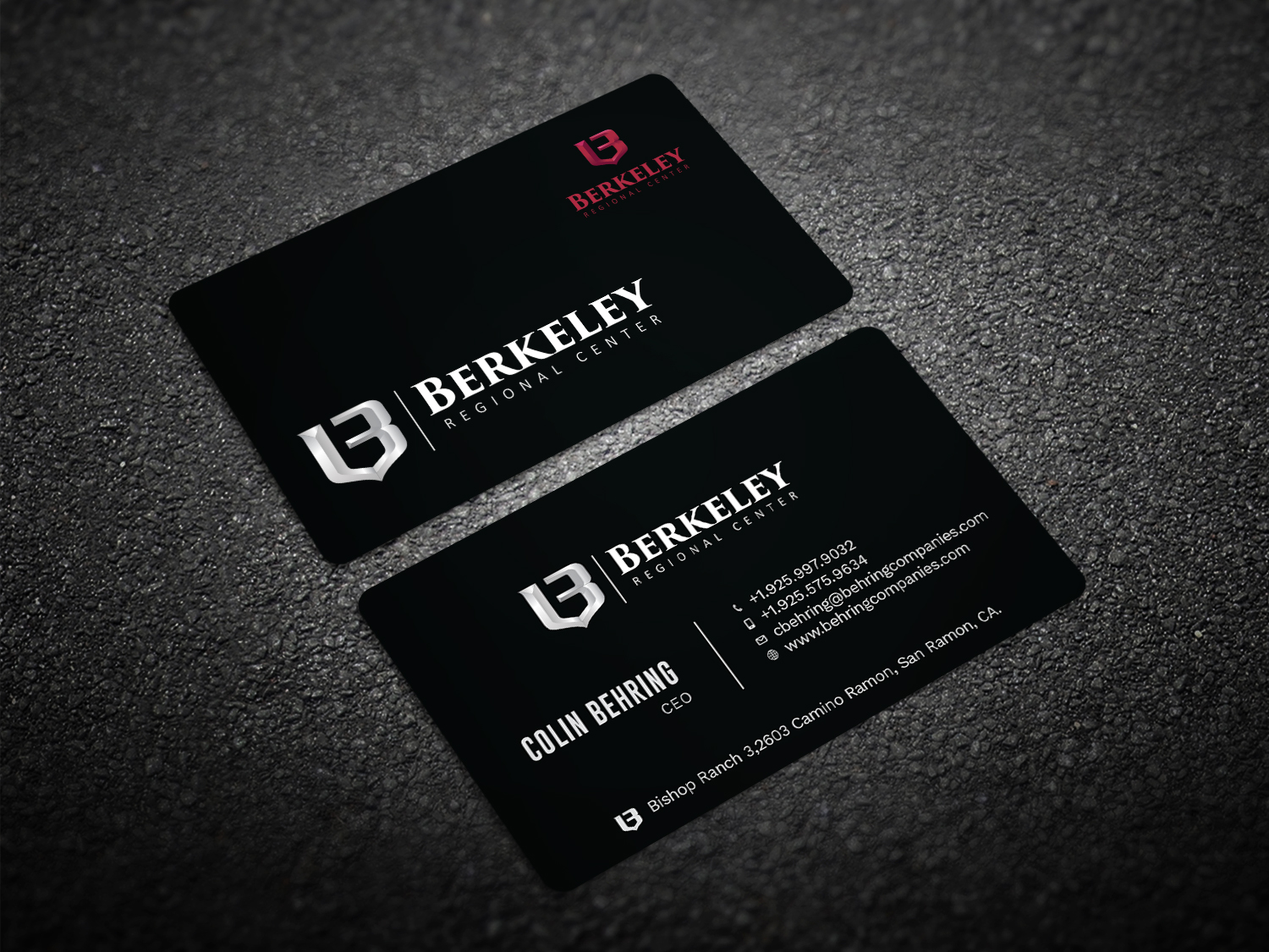 Business Card Design by Graphic Flame for Behring Co. | Design #19788971