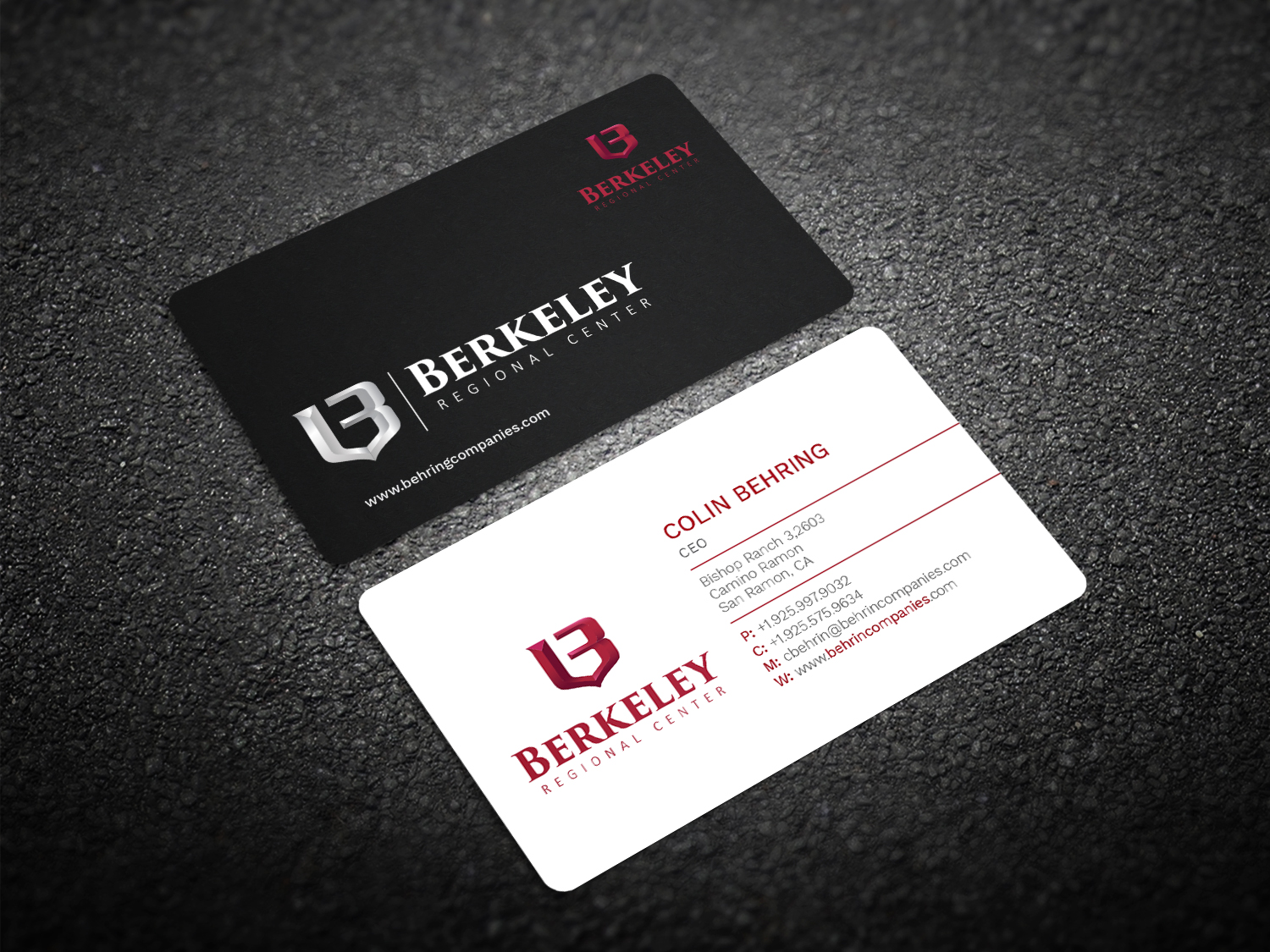 Business Card Design by Graphic Flame for Behring Co. | Design #19788973