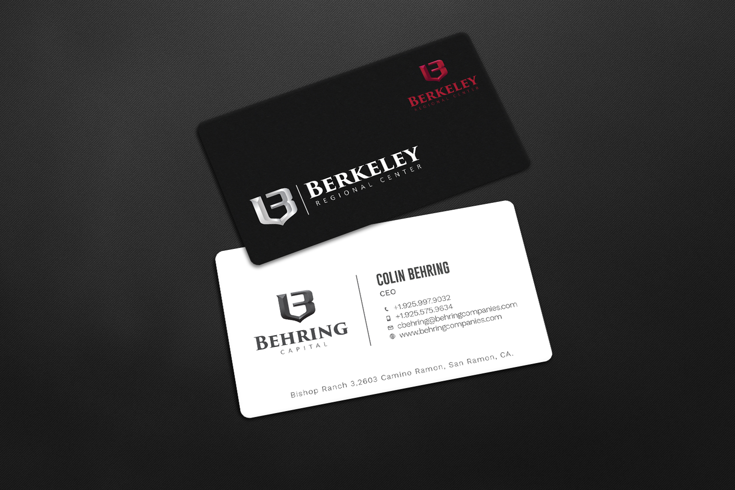 Business Card Design by Graphic Flame for Behring Co. | Design #19788985
