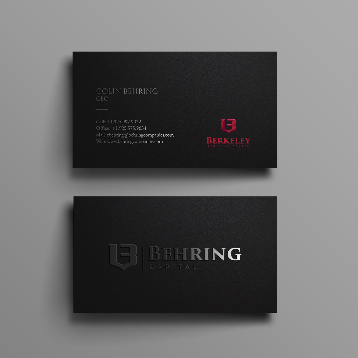 Business Card Design by Graphic Flame for Behring Co. | Design #19802442