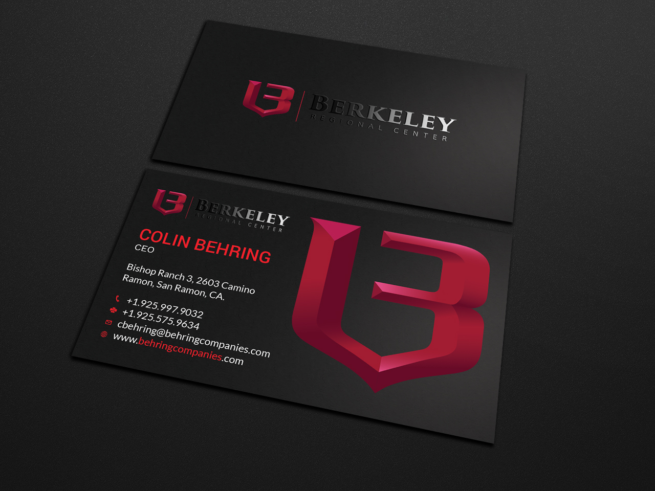 Business Card Design by Tripti Ranjan Gain for Behring Co. | Design #19797900