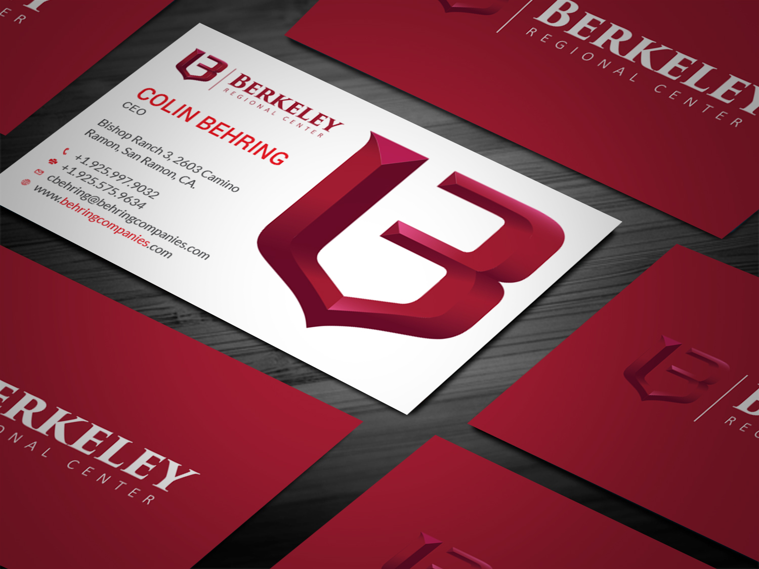 Business Card Design by Tripti Ranjan Gain for Behring Co. | Design #19797902