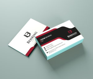 Business Card Design by Shreyank 2