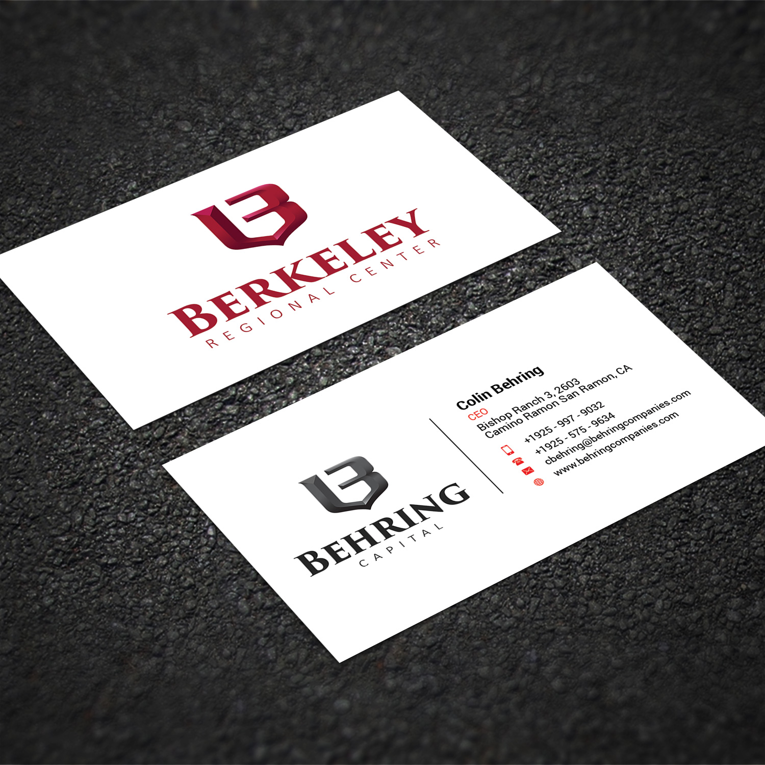 Business Card Design by Sujan4art for Behring Co. | Design #19785228