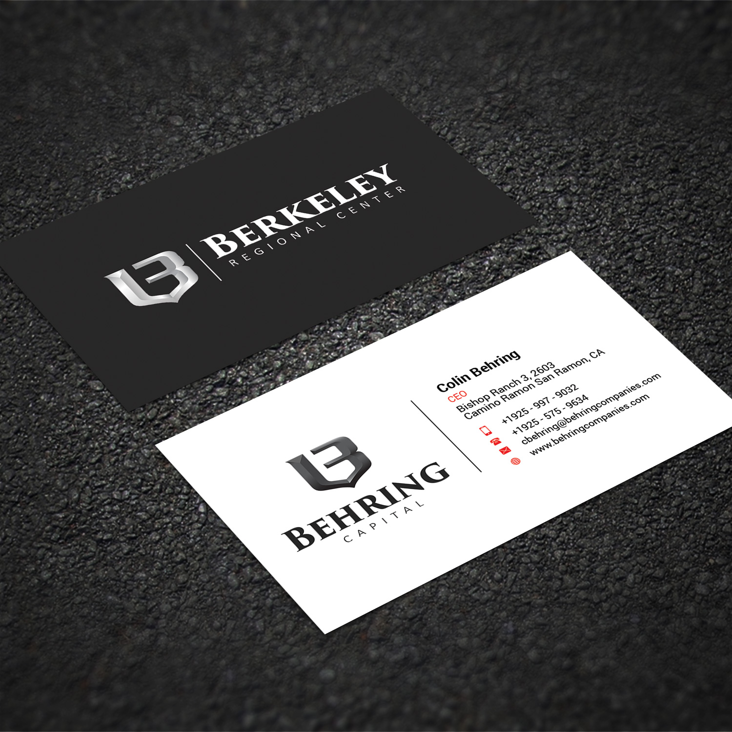 Business Card Design by Sujan4art for Behring Co. | Design #19785231