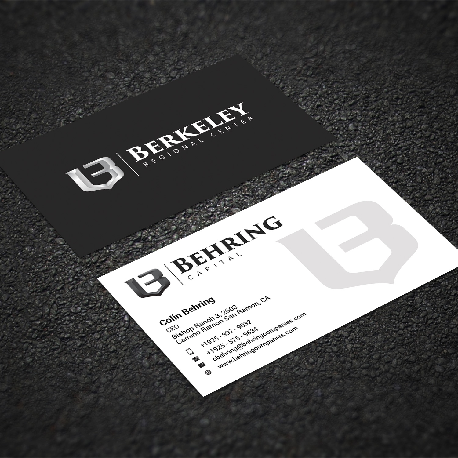 Business Card Design by Sujan4art for Behring Co. | Design #19785232