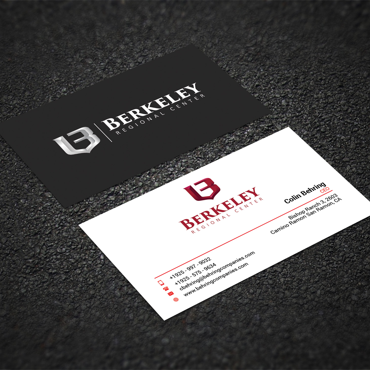 Business Card Design by Sujan4art for Behring Co. | Design #19785266