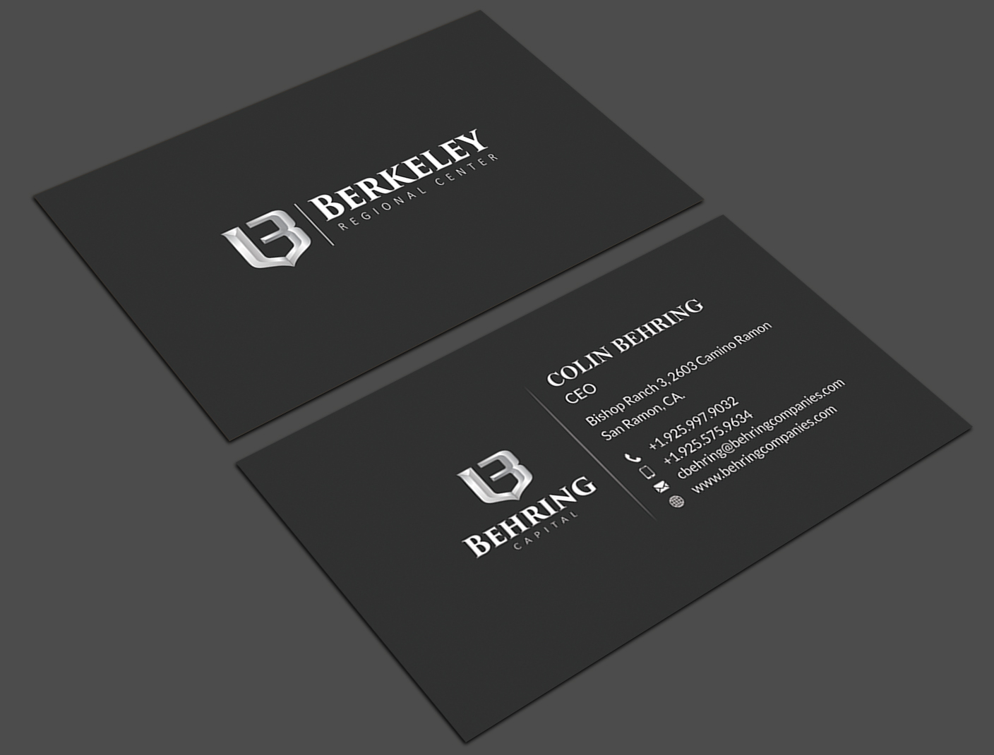 Business Card Design by Srabon55014 for Behring Co. | Design #19796411