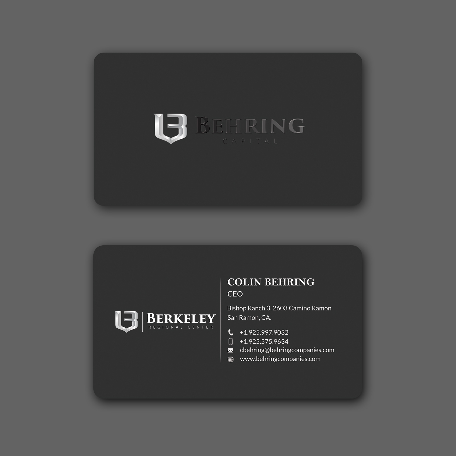 Business Card Design by Srabon55014 for Behring Co. | Design #19798059