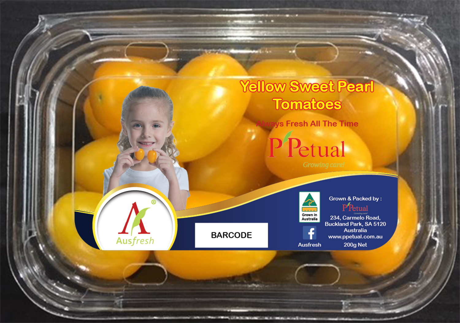 Packaging Design by CENTERSPREAD for ppetual holding pty ltd | Design #19855710