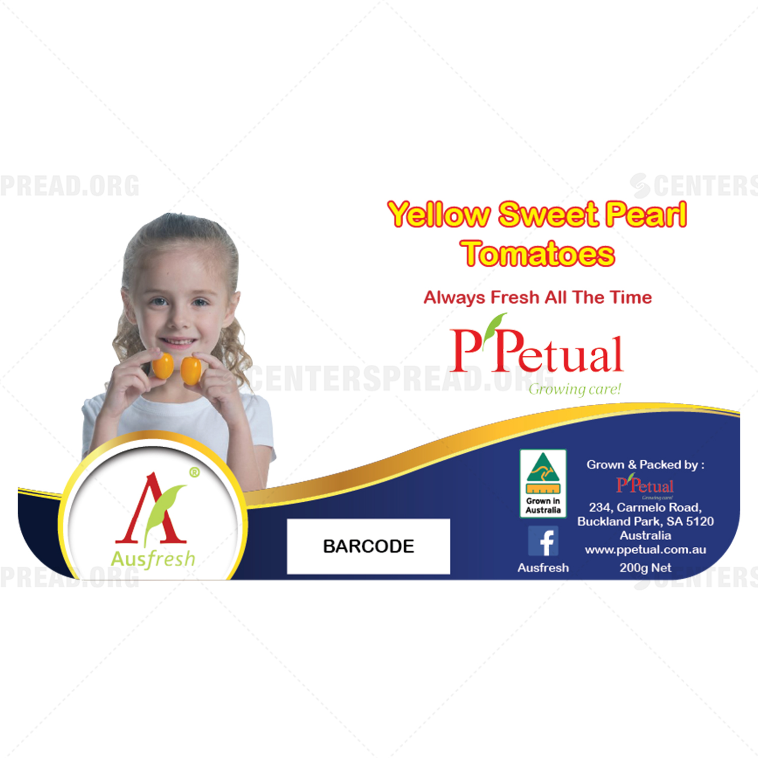 Packaging Design by CENTERSPREAD for ppetual holding pty ltd | Design #19855712