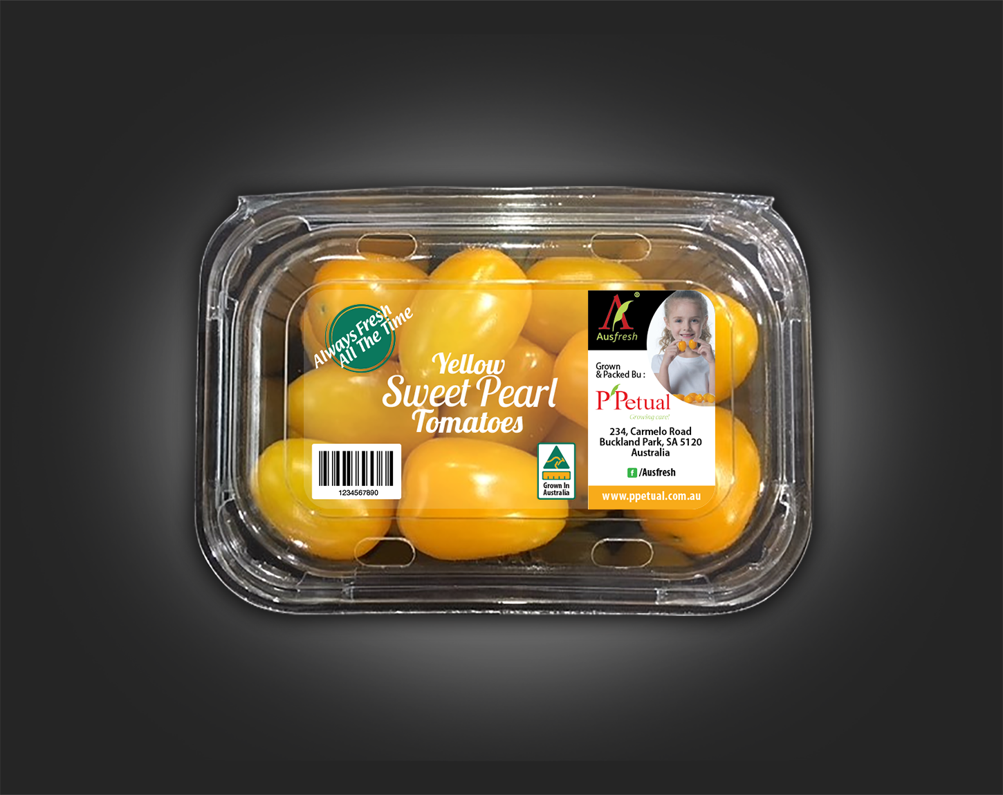 Diseño de Empaque por PointGrfx para ppetual holding pty ltd | Diseño #19782441