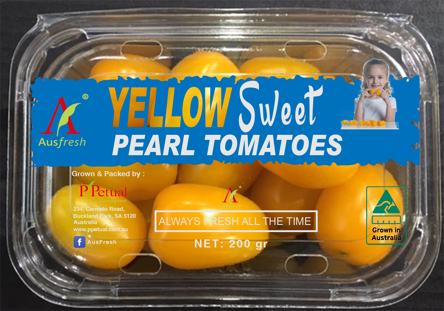 Packaging Design by ronin71 for ppetual holding pty ltd | Design #19825822