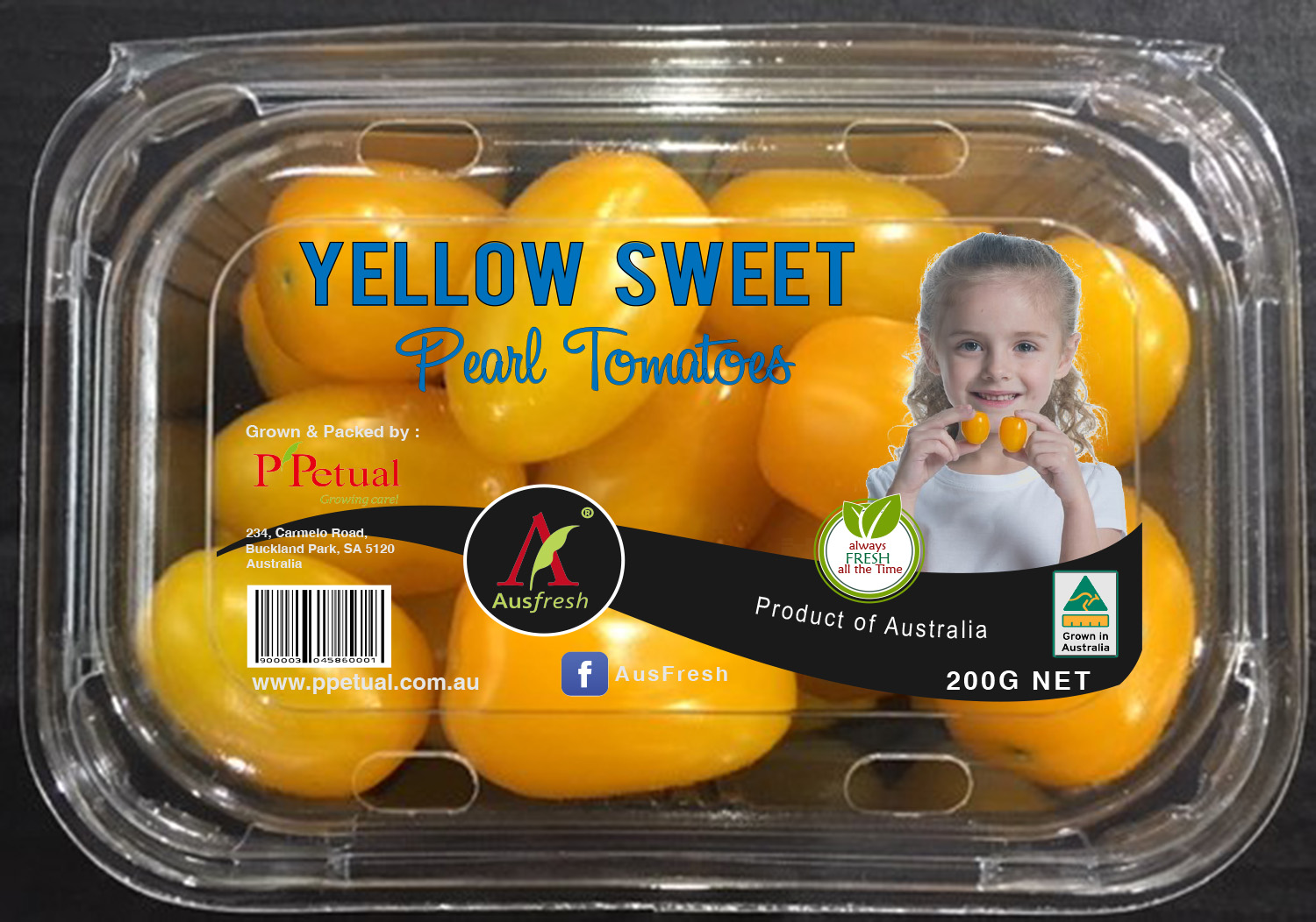 Packaging Design by ronin71 for ppetual holding pty ltd | Design #19873825