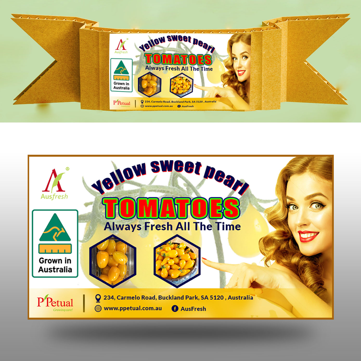 Packaging Design by himelbme for ppetual holding pty ltd | Design #19781117