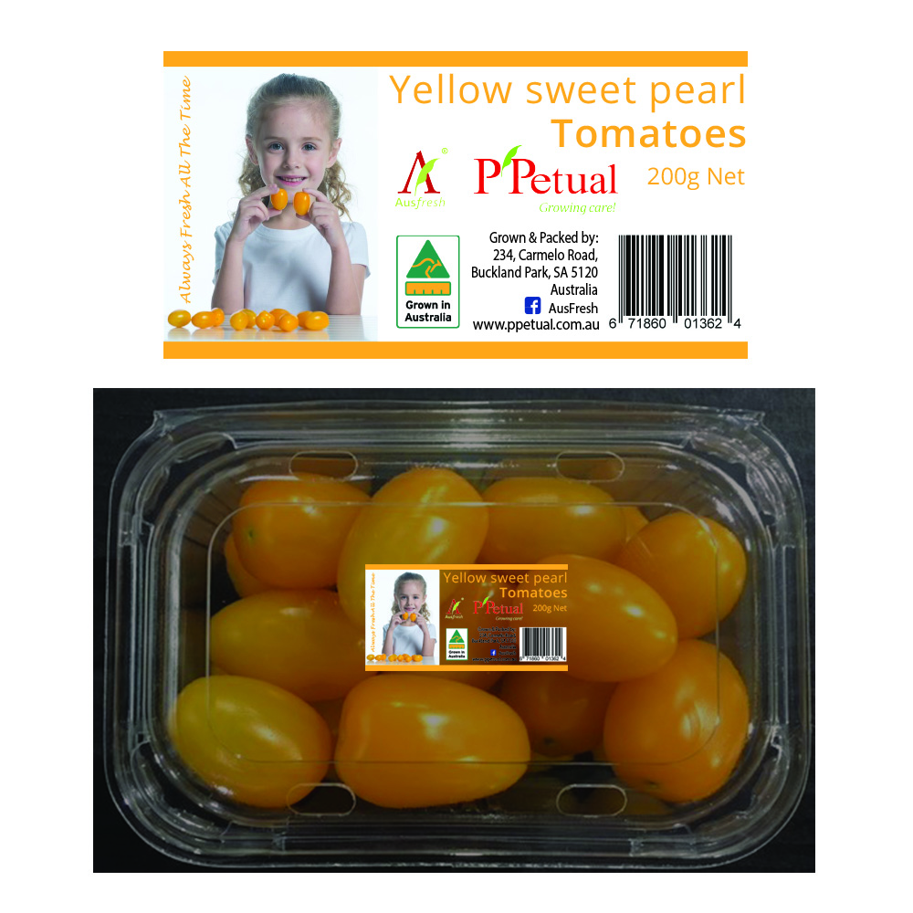 Packaging Design by Silviya M for ppetual holding pty ltd | Design #19835278