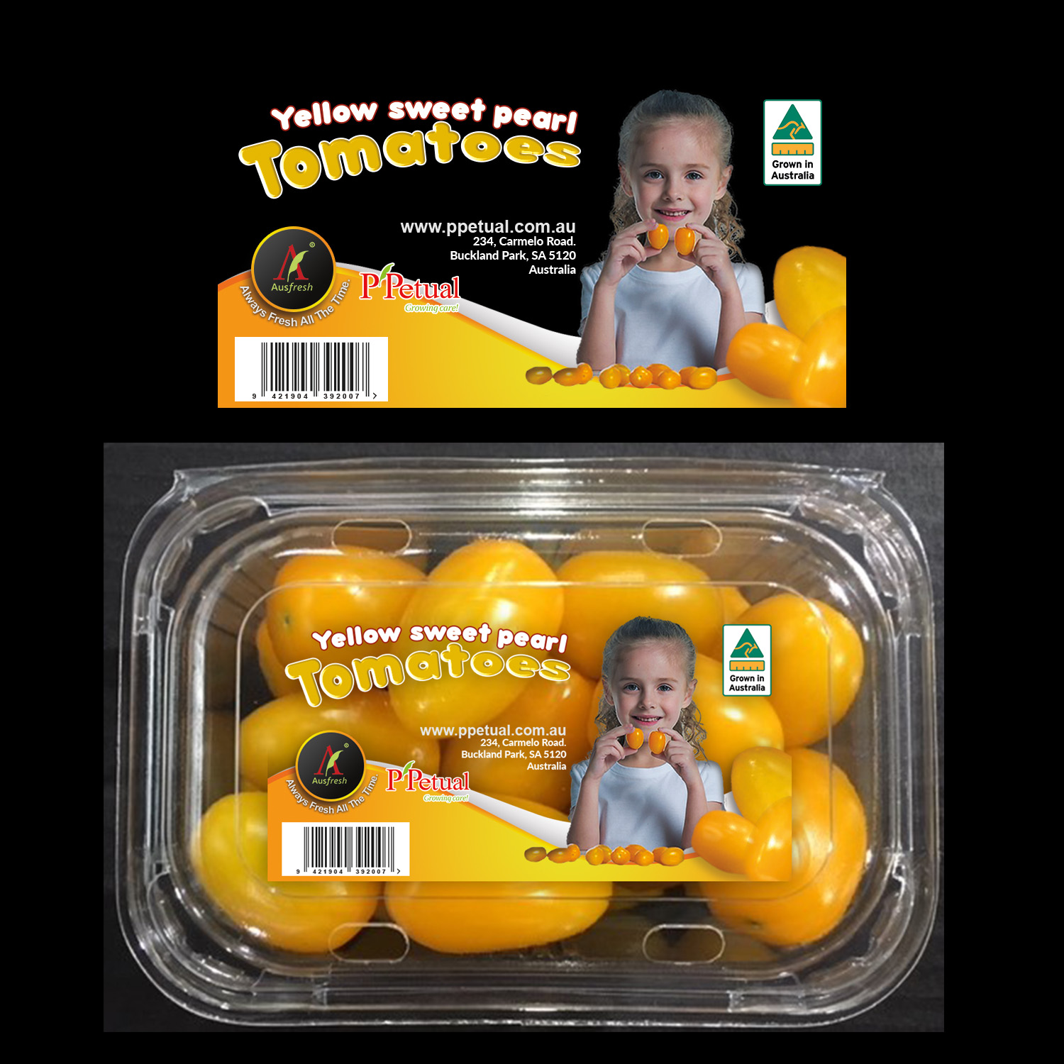 Packaging Design by Logo Blox for ppetual holding pty ltd | Design #19781398