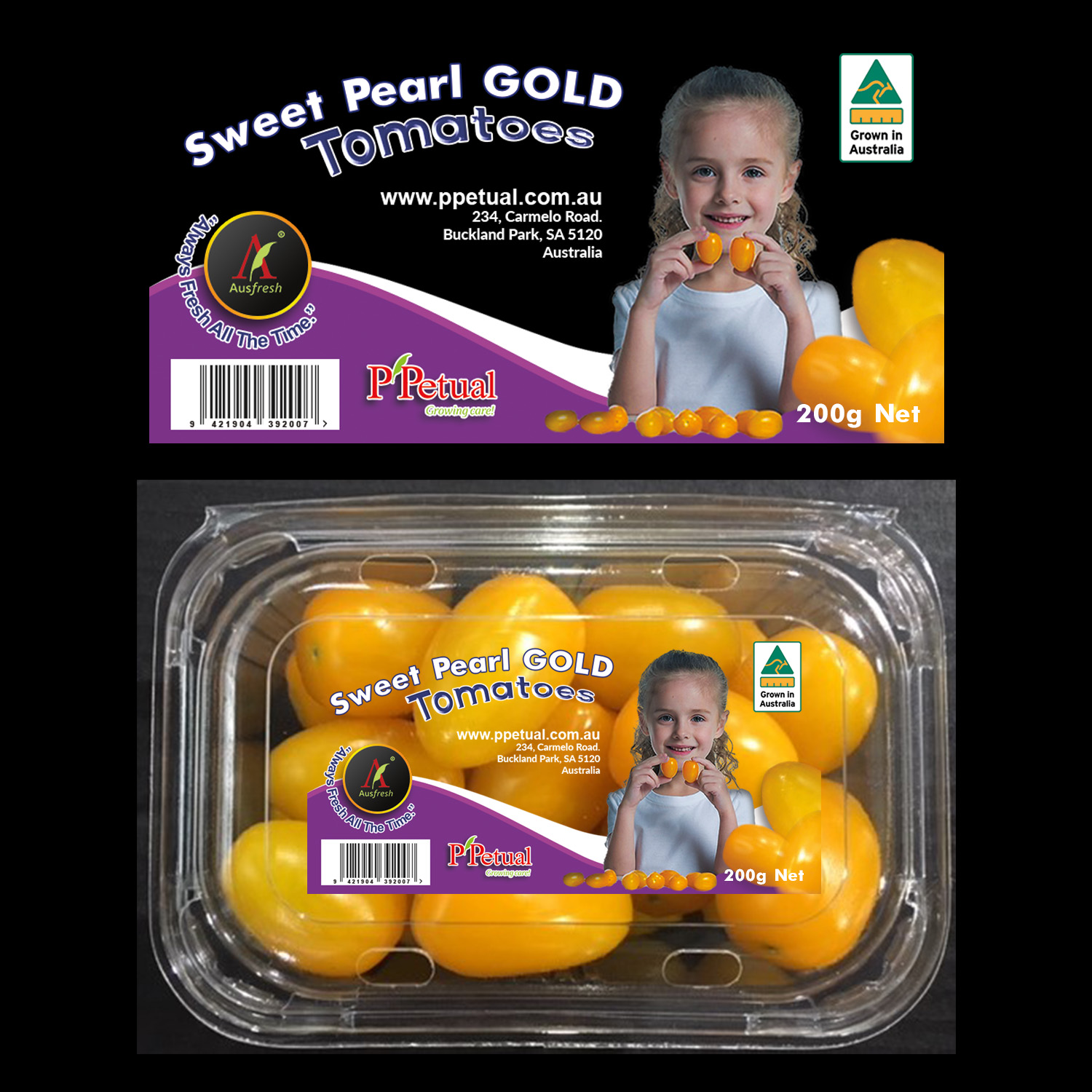 Diseño de Empaque por Logo Blox para ppetual holding pty ltd | Diseño #19853980