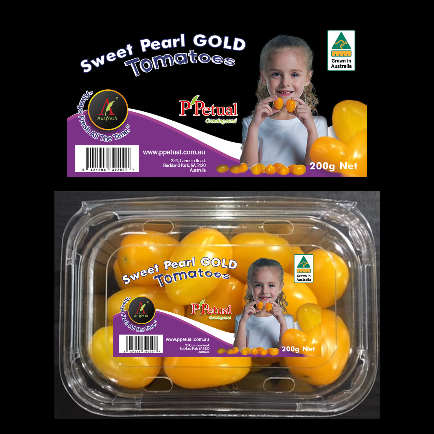 Packaging Design by Logo Blox for ppetual holding pty ltd | Design #19854709