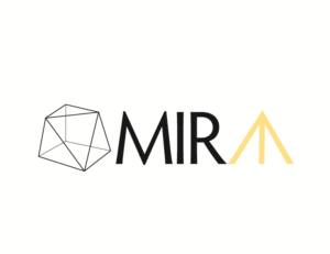 Logo Design by Hues Designs