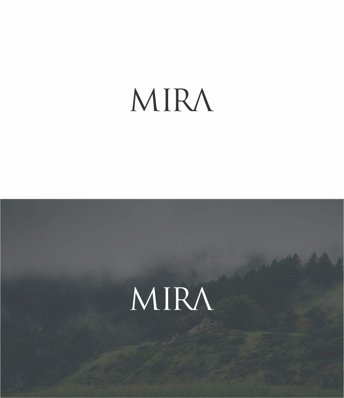 Logo Design by Off-Road Global Studio for Crestani | Design #19825402