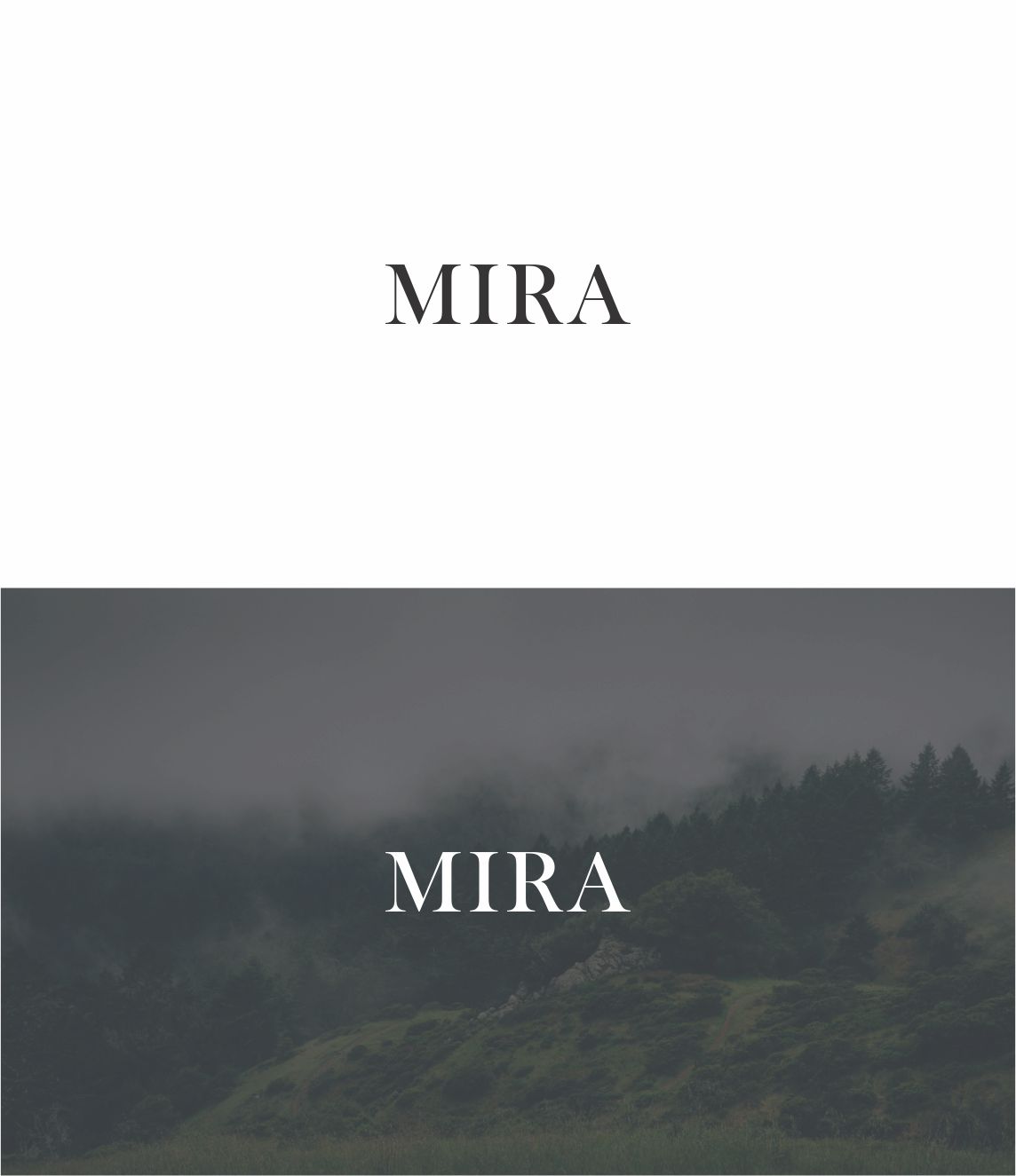 Logo Design by Off-Road Global Studio for Crestani | Design #19825411