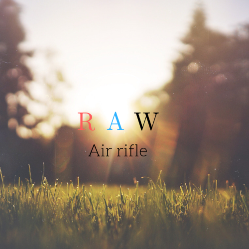 Design de Logo par Yash 9 pour AirForce Airguns | Design #19801788