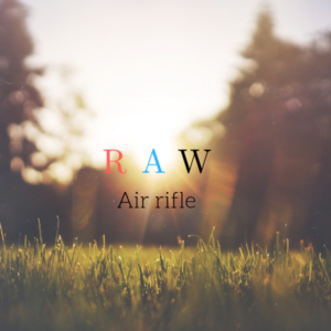 Design de Logo par Yash 9 pour AirForce Airguns | Design #19801788