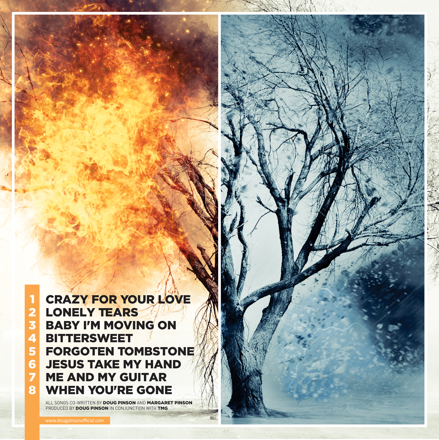 CD Cover Design by alhemique1 for this project | Design #19821480